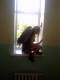 <b>Название: </b>День Рождение 13.09.2011, <b>Добавил:<b> Селестиалина<br>Размеры: 1125x1500, 62.5 Кб